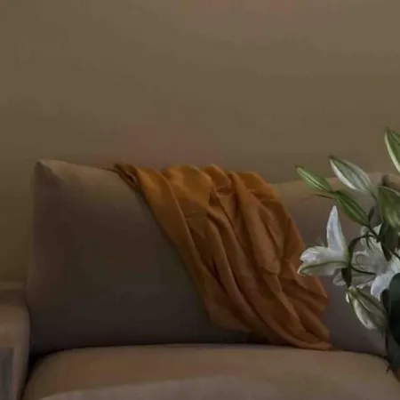 Valis Vólos